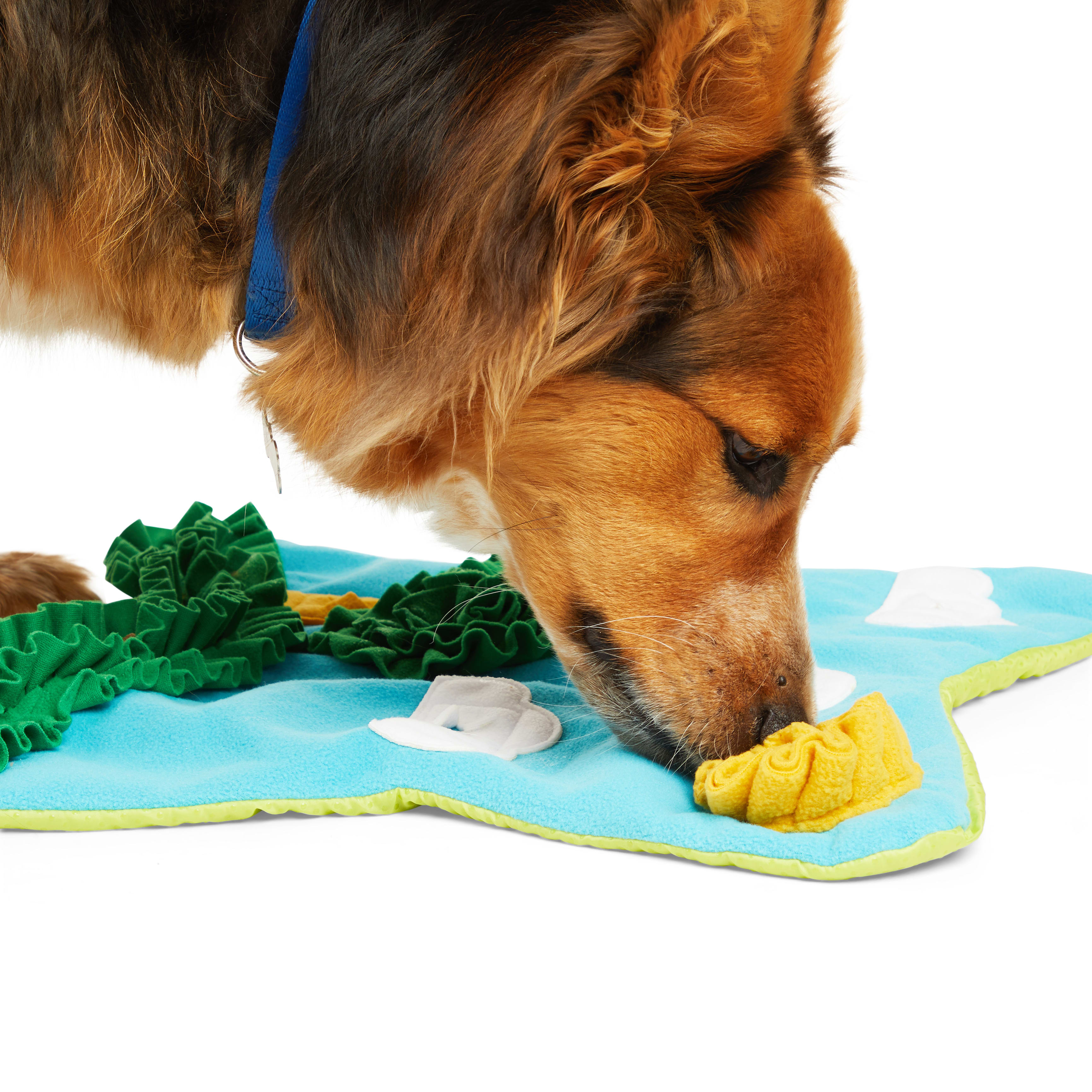 Leaps  Bounds Snuffle Mat Dog Toy， Large