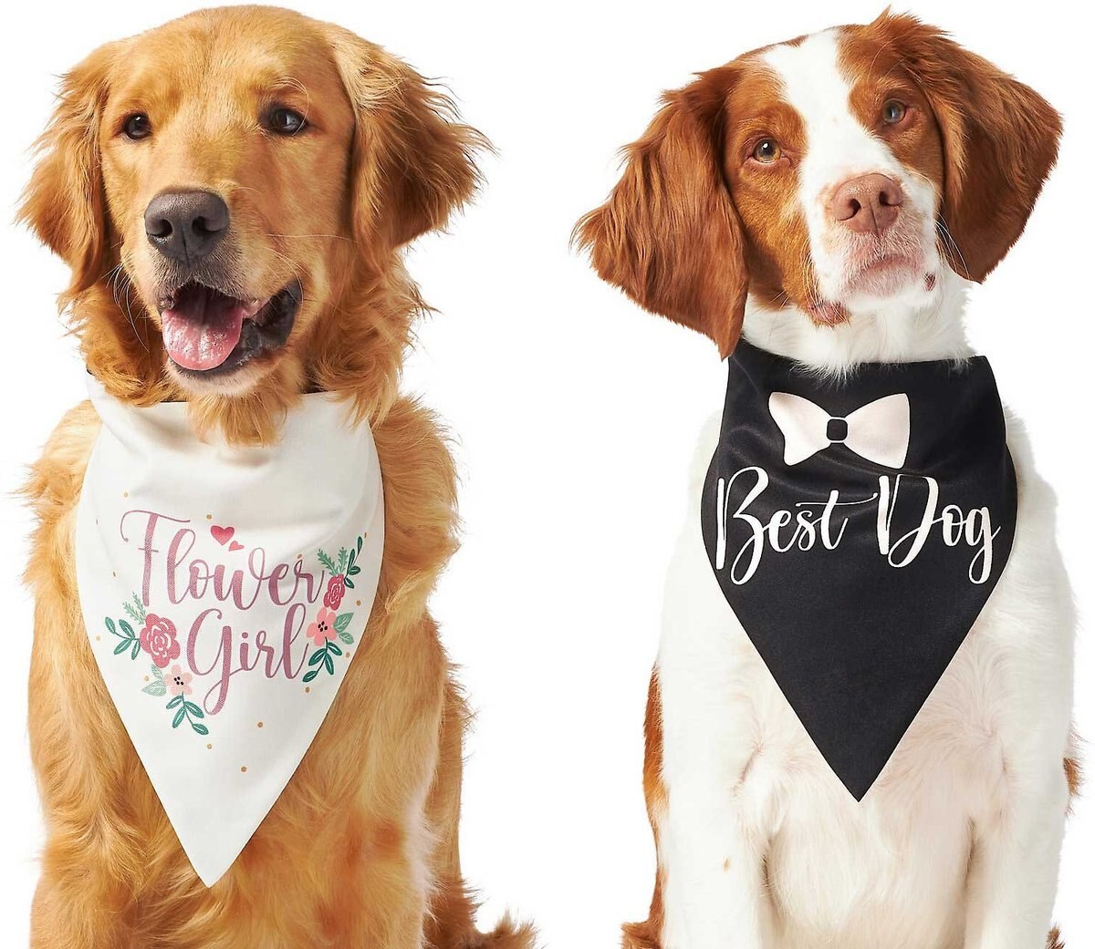 Frisco Wedding Reversible Dog and Cat Bandana