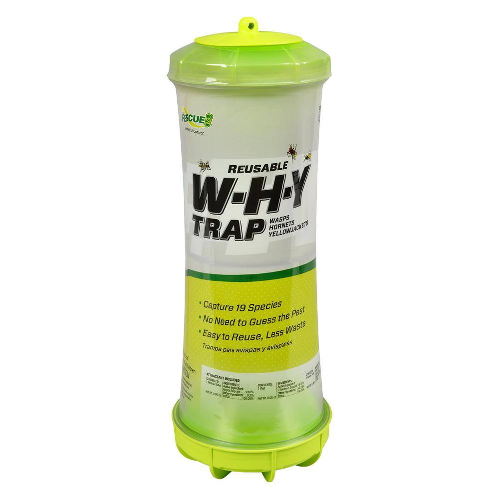 RESCUE WHY Trap for Wasps Hornets  Yellowjackets Insect Trap WHYTR-BB8