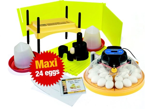 Brinsea Maxi II Advance 24 Bird Egg Incubator Classroom Pack