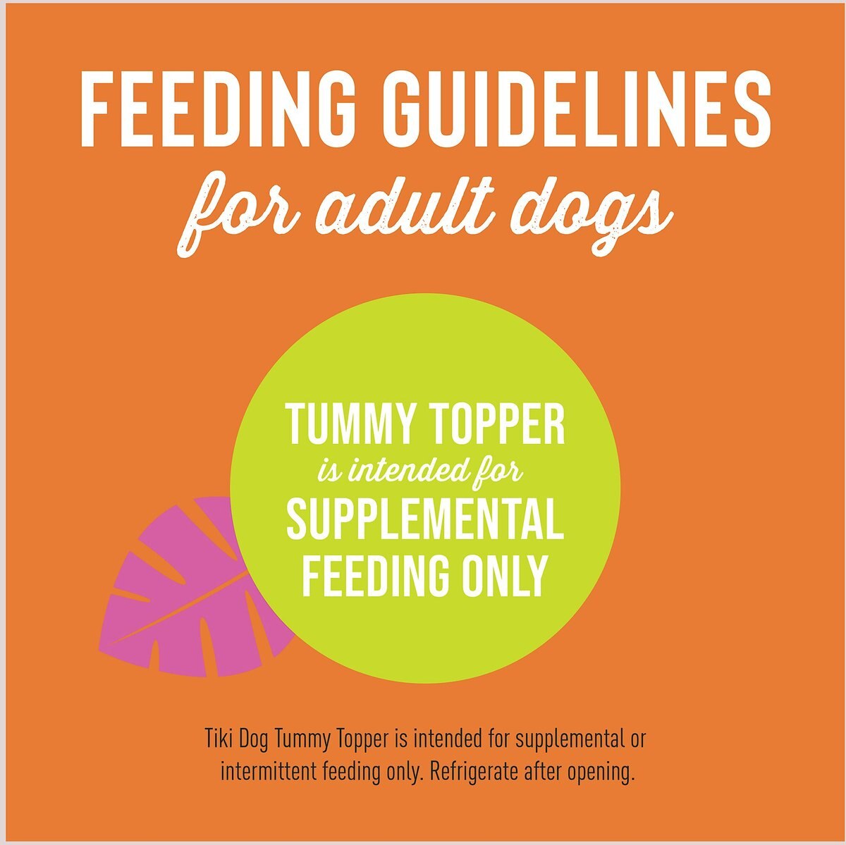 Tiki Dog Tummy Topper Pumpkin and Ginger Puree Grain-Free Wet Dog Food Topper， 1.5-oz， case of 12