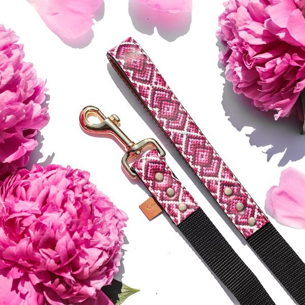 FriendshipCollar Pedigree Princess Leather Dog Leash