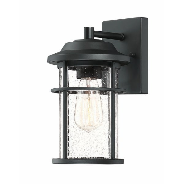 1 Light Black Coastal Barn Dome Outdoor Wall Lantern Clear Glass Shopping - The Best Deals on Outdoor Wall Lanterns | 39367998