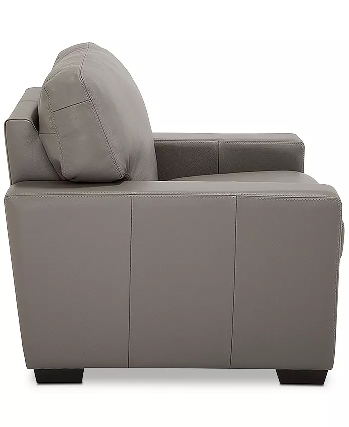 Furniture Ennia 36 Leather Armchair