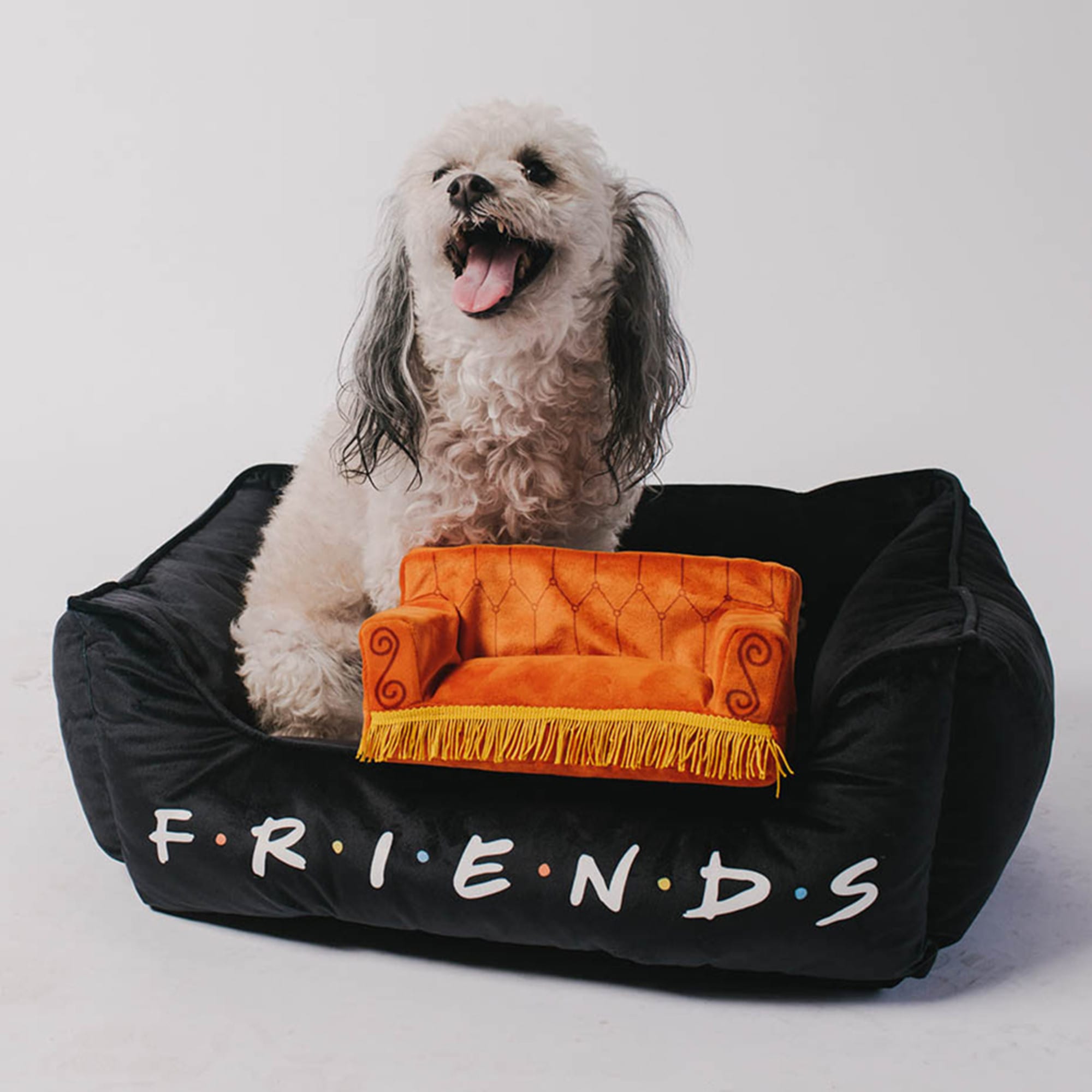 Buckle-Down Warner Bros. Friends Television Show Dog Bed， 25