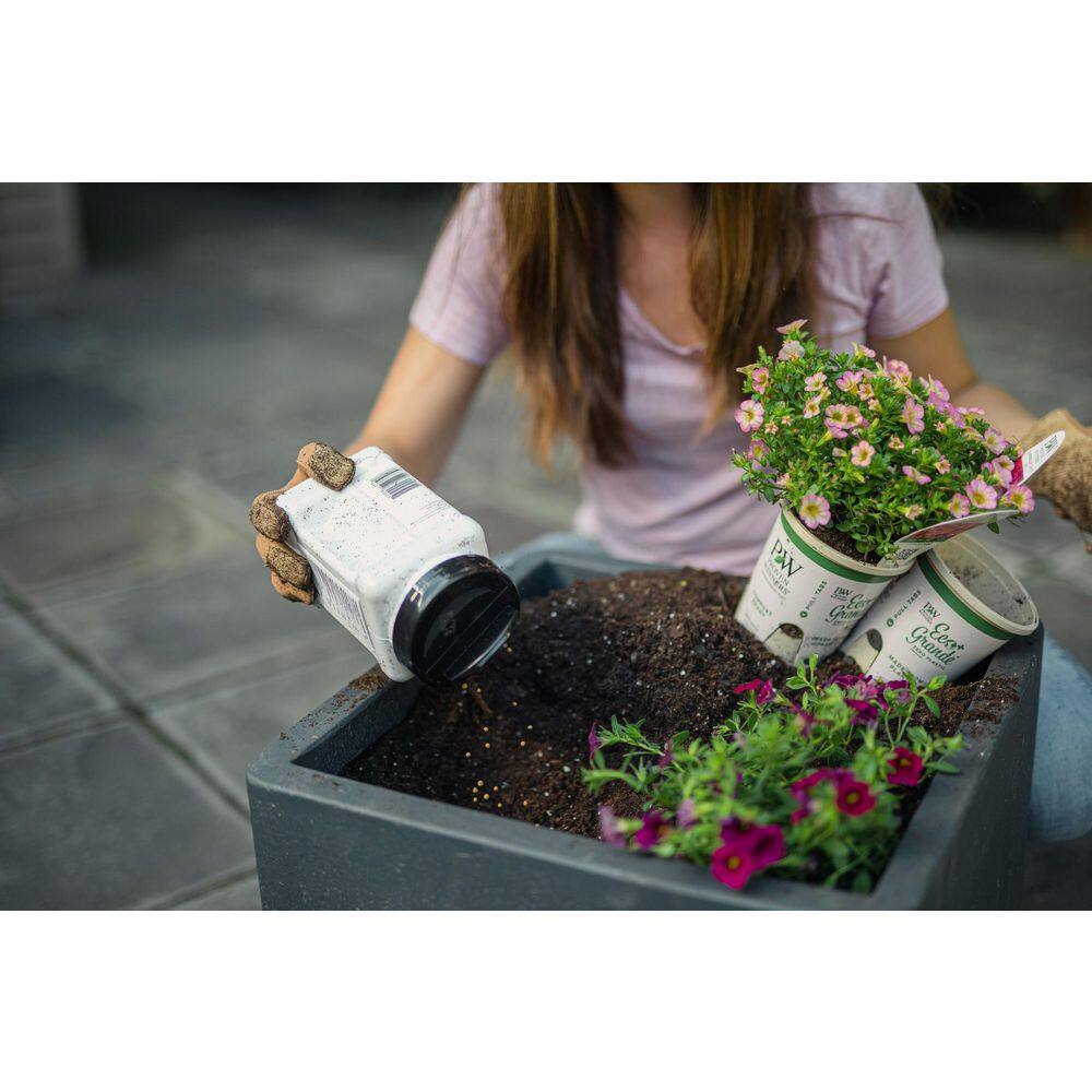 PROVEN WINNERS 4.25 in. Eco+Grande Superbells Lemon Slice (Calibrachoa) Live Plant Yellow and White Flowers (4-Pack) BELPRW1237504