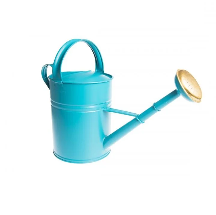 Supplies of Galvanized Handmade Water Can Big Size Blue Powder Coated Best Water Can Handmade Inexpensive Luxury Watering Can