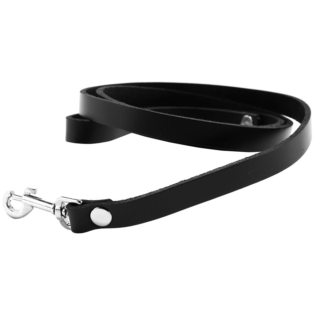 4' Leather Leash