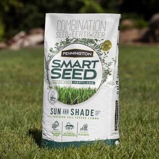 Pennington Smart Seed 3 lbs. Sun and Shade South Grass Seed and Fertilizer 100543722