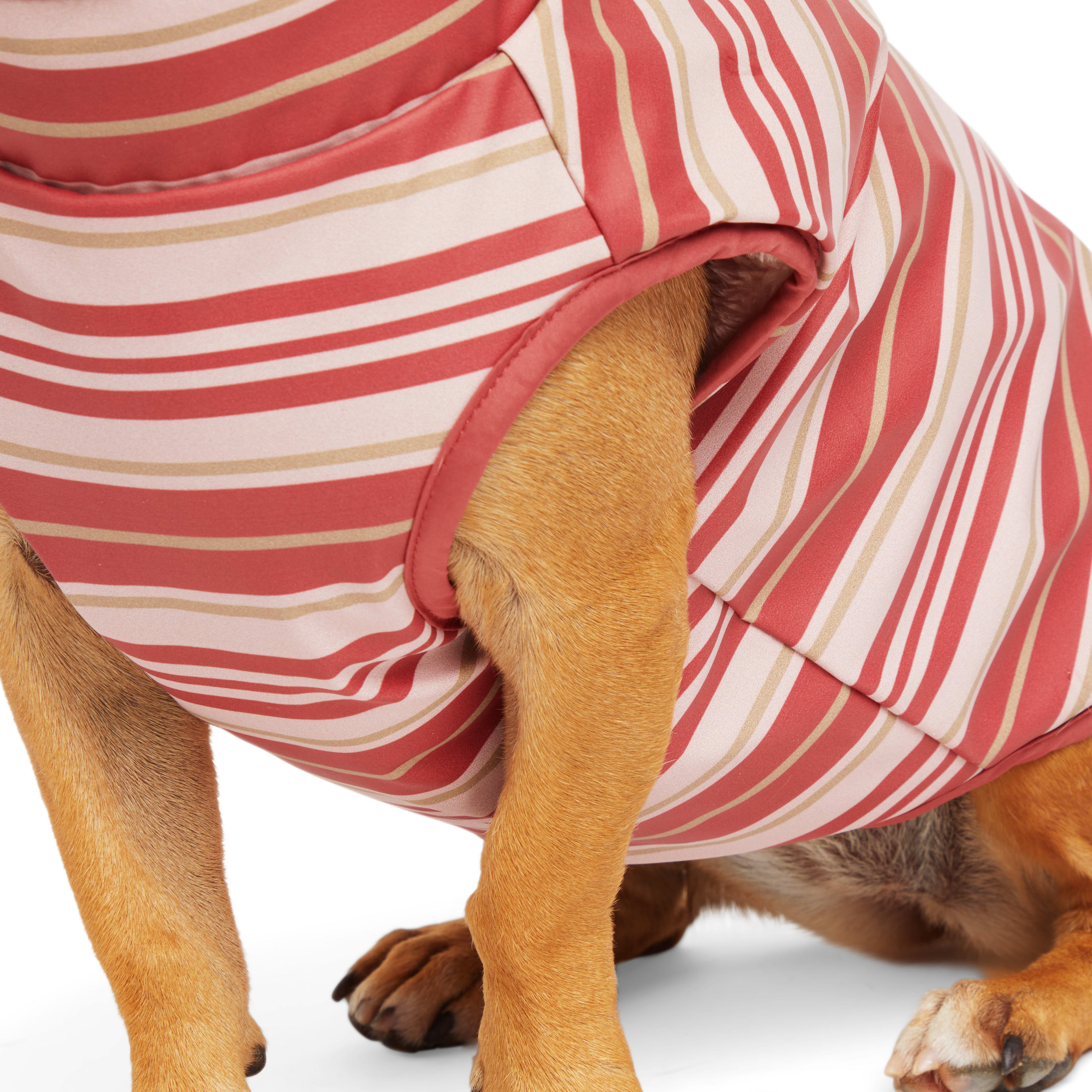 YOULY Pink Reversible Stripe Pet Jacket， XX-Small