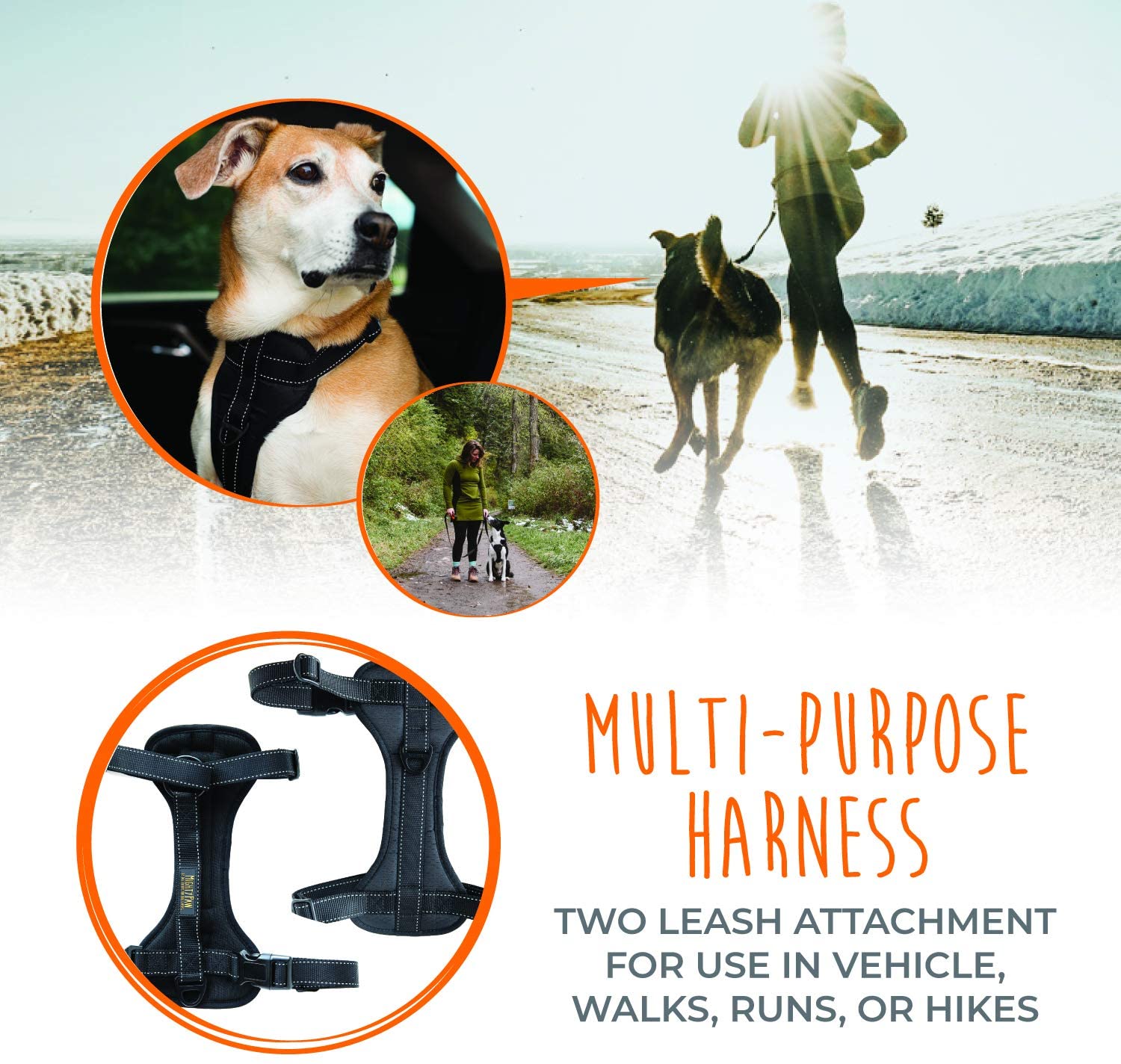 Mighty Paw Car Dog Harness， Vehicle Safety Harness with Adjustable Straps and Soft Padding， Doubles as a Standard Harness with a No Pull Front Leash Attachment