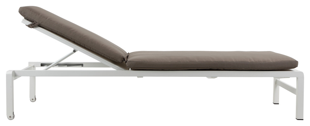 Set of 2 Olly Stacking Lounger with Cushion   Grey   Contemporary   Indoor Chaise Lounge Chairs   by Pangea Home  Houzz