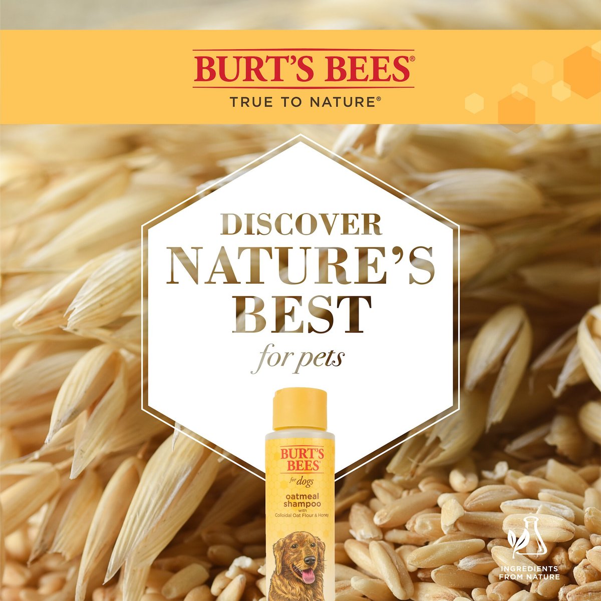 Burt's Bees Oatmeal Shampoo with Colloidal Oat Flour and Honey for Dogs