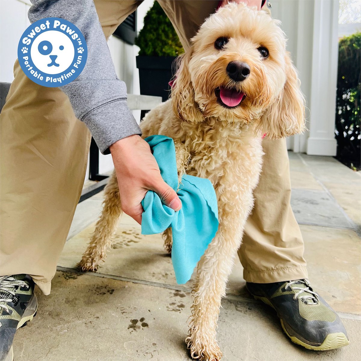 Sweet Paws Perfect Paws Portable Dog Towel