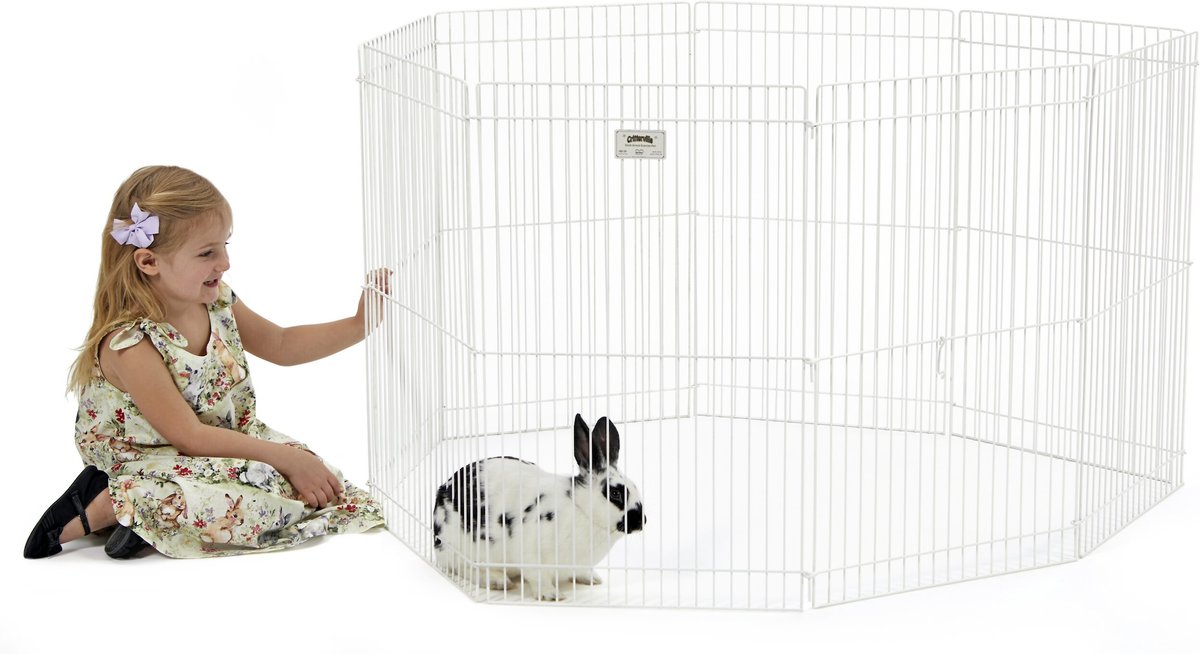 MidWest Small Pet Exercise Pen， White， Medium