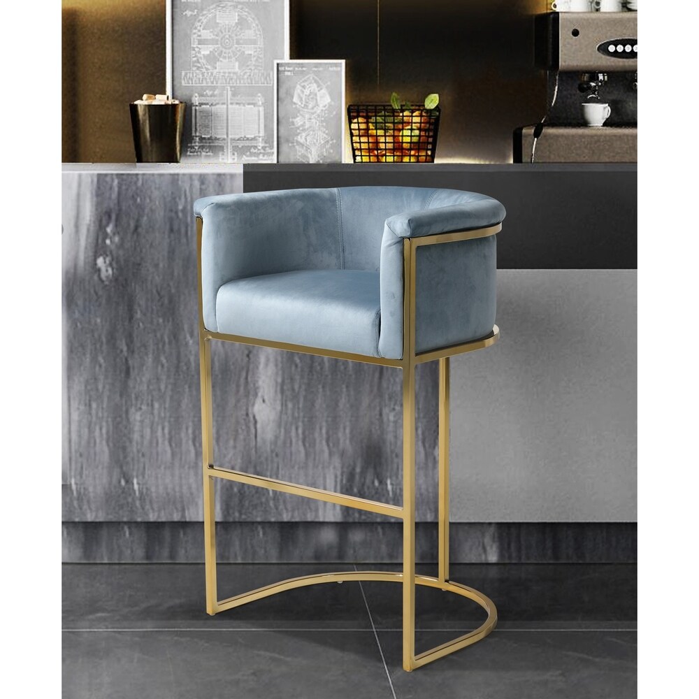 Silver Orchid Rowland Velvet Upholstered Bar/Counter Stool