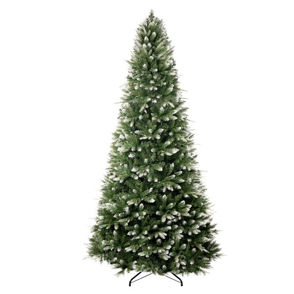 Alberta White Tip Christmas Tree with Lights，Prelit Christmas Tree，Pine Fir with Led Lights，White Painted Tips