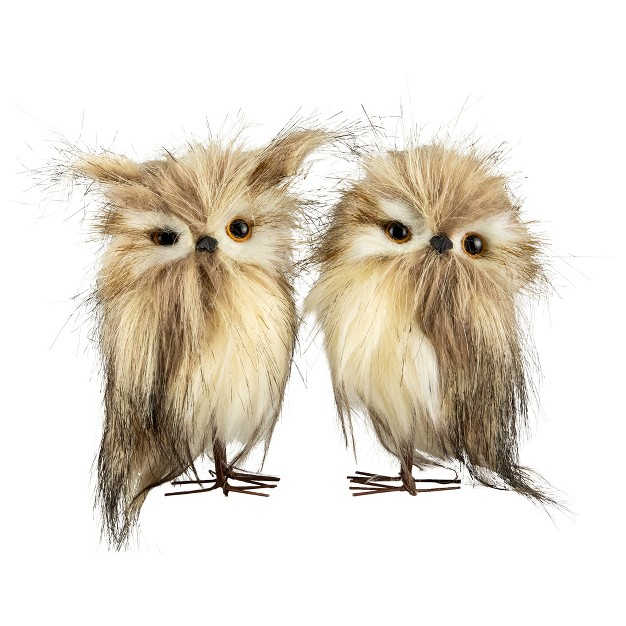 Northlight Set Of 2 Brown And Ivory Owls Figures