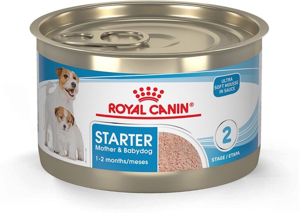 Royal Canin Size Health Nutrition Small Mother and Babydog Starter Mousse in Sauce Wet Dog Food