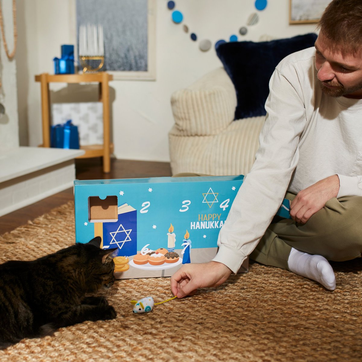 Frisco Holiday 8 Days of Hanukkah Cardboard Calendar with Toys for Cats