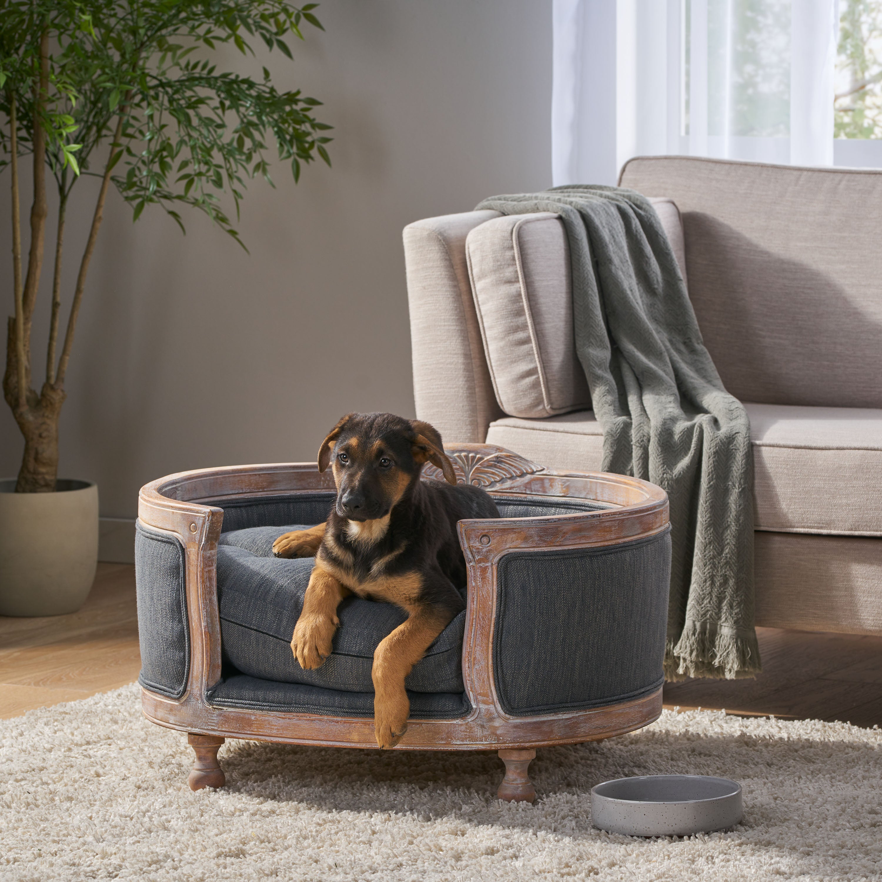 Burgos Contemporary Upholstered Medium Pet Bed with Wood Frame