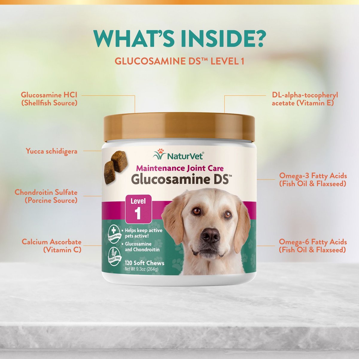 NaturVet Maintenance Care Glucosamine DS Soft Chews Joint Supplement for Dogs and Cats