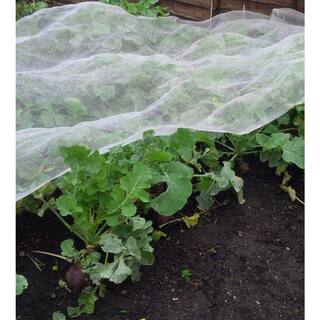 Agfabric 6.5 ft. x 50 ft. Garden Netting Mesh Net Screen Fabric White EIBMN6550N