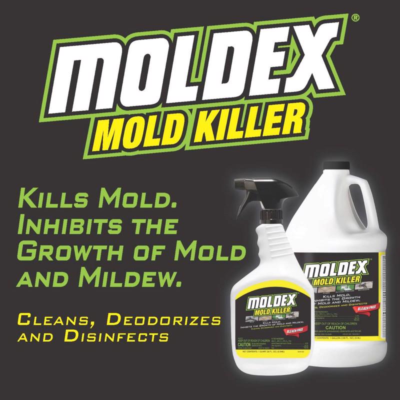 MOLDEX MOLD KILLER 32OZ