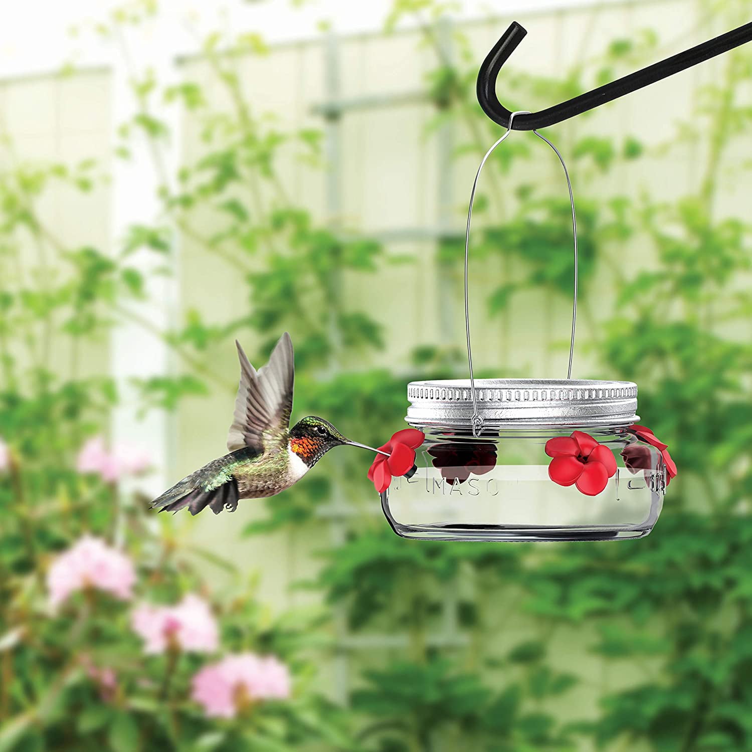 Nature's Way Bird Products (#MJF1) Mason Jar Hummingbird Dish Feeder