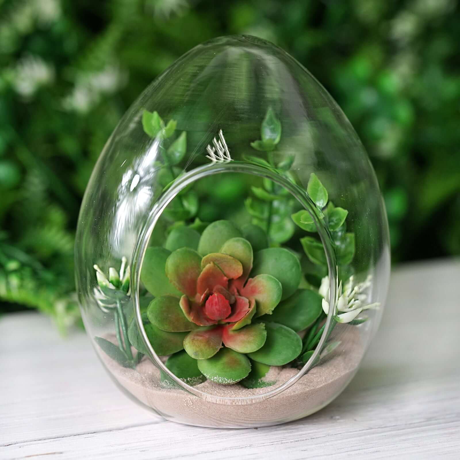 6 Pack Air Plant Glass Egg Shaped Terrarium Self Standing Planter 5