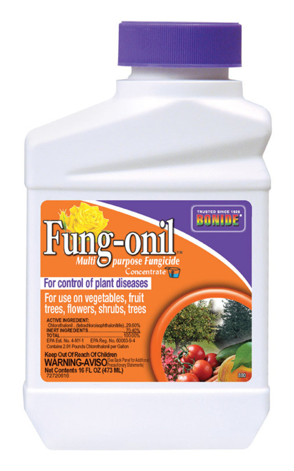 FUNG-ONIL CONC 16OZ