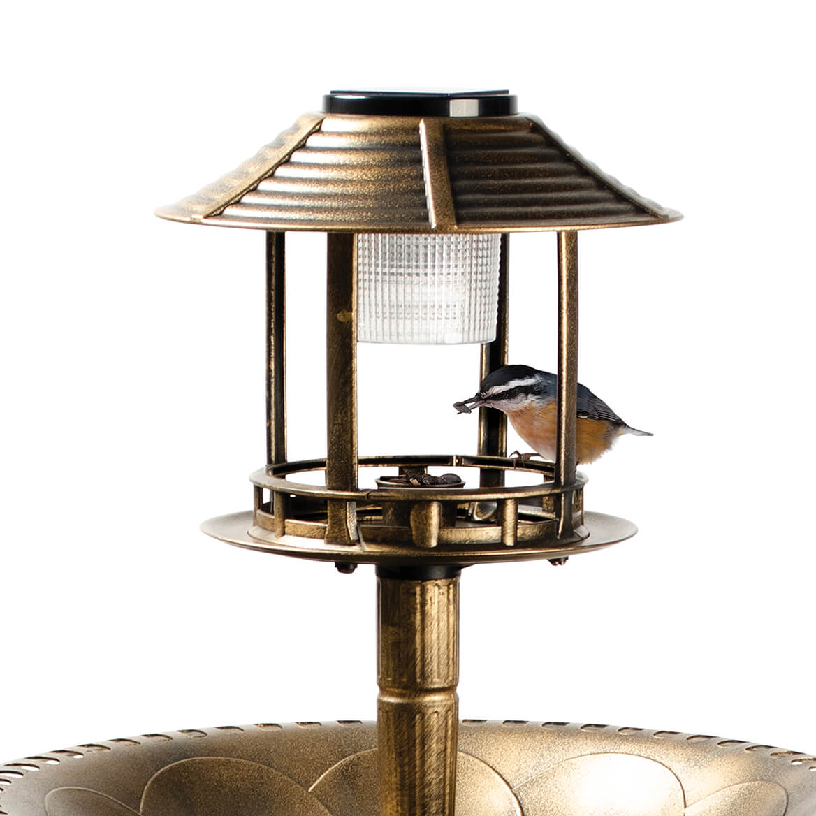 4-in-1 Solar Powered Bird Bath