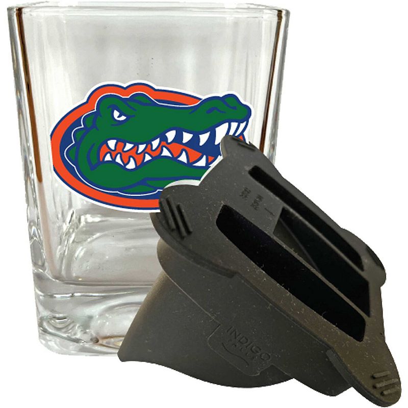 Florida Gators 15oz. Ice Wedge Glass