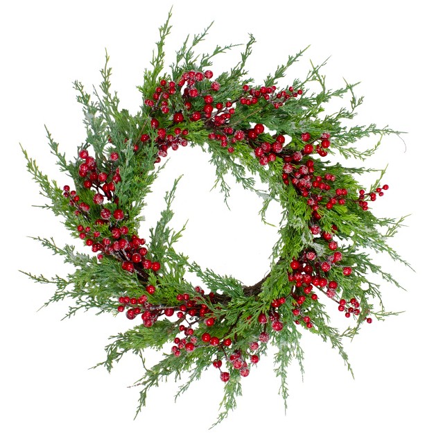 Northlight Frosted Red Berries Artificial Christmas Wreath 26 inch Unlit