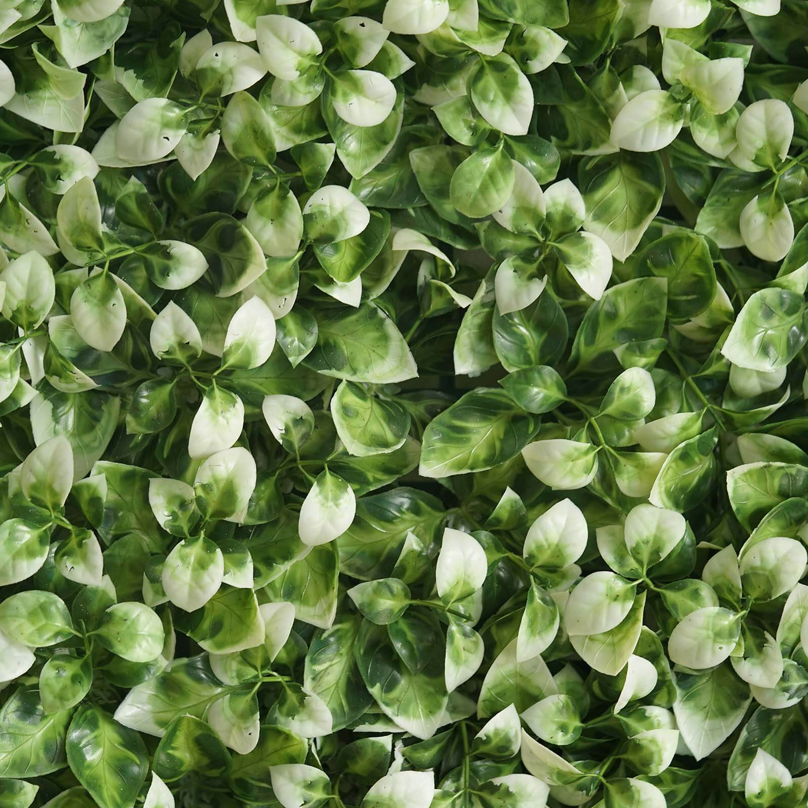 White Tip Green Boxwood Hedge Garden Wall Backdrop Mat 4 Artificial Panels 11 Sq ft.