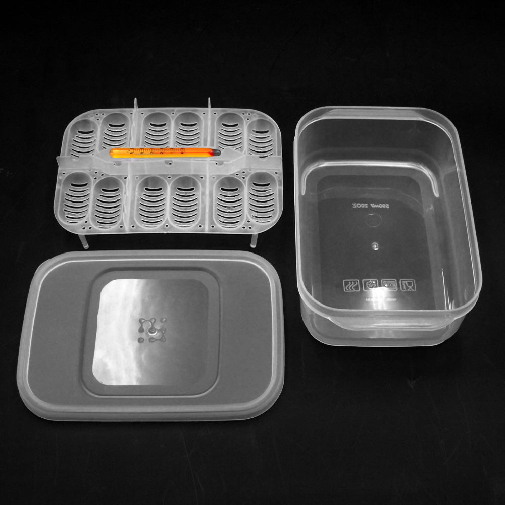 Reptile Egg Tray Reptile Egg Box Reptile Breeding Box Reptile Incubation Box Suitable for Hatching Snake Lizards Reptiles with Thermometer