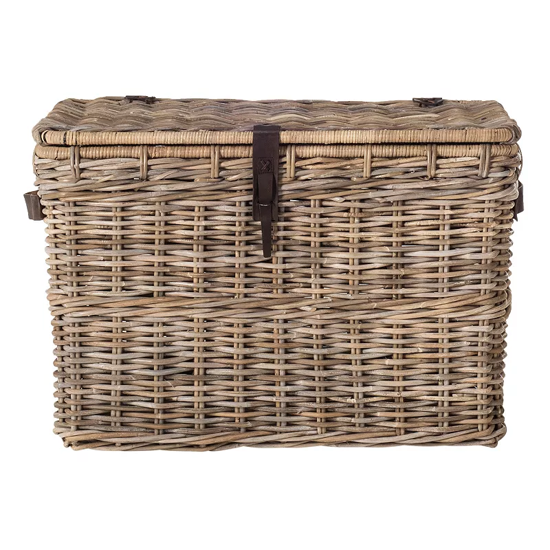 Safavieh Amancio Wicker Trunk