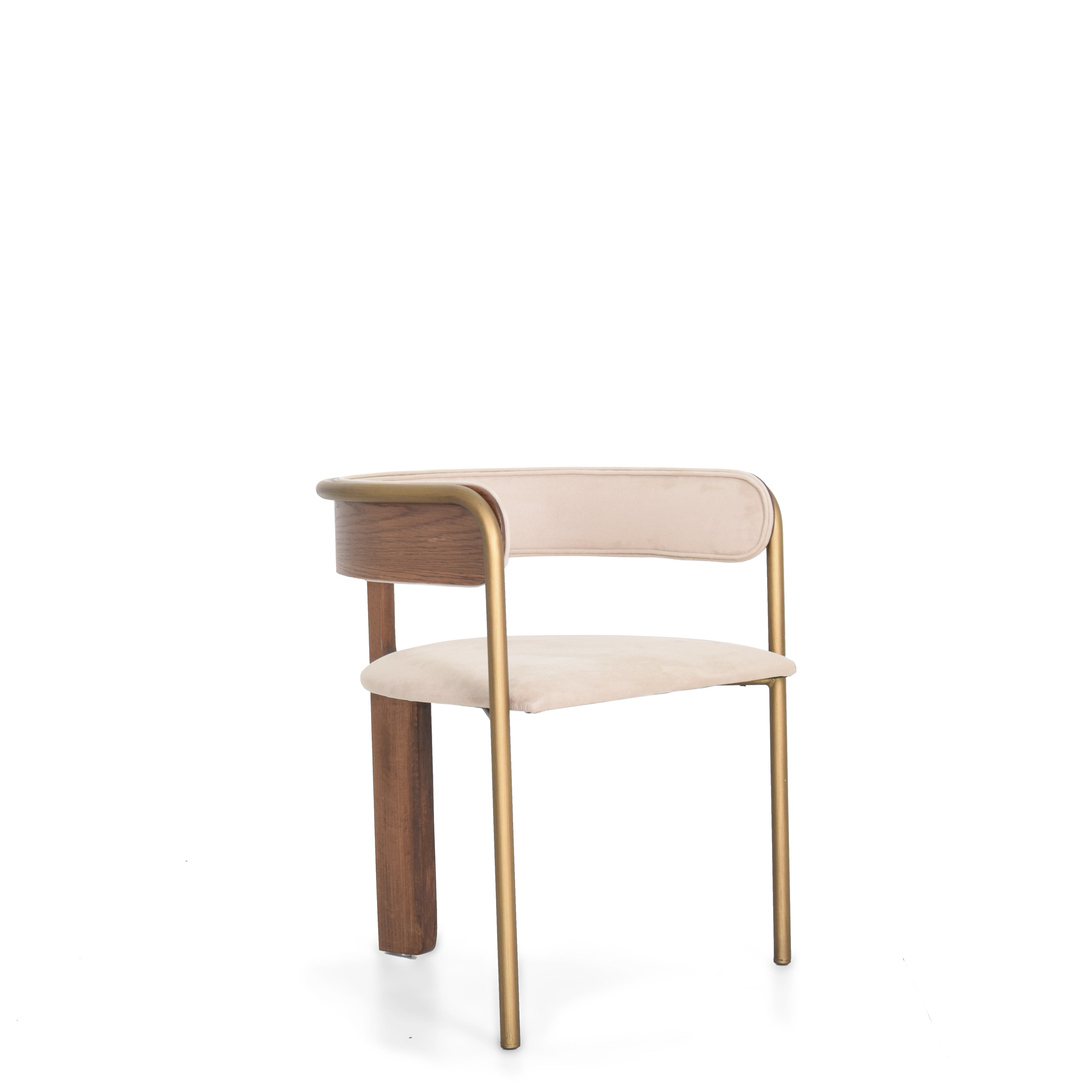 Edessa Dining Chair Edsa-Dc04