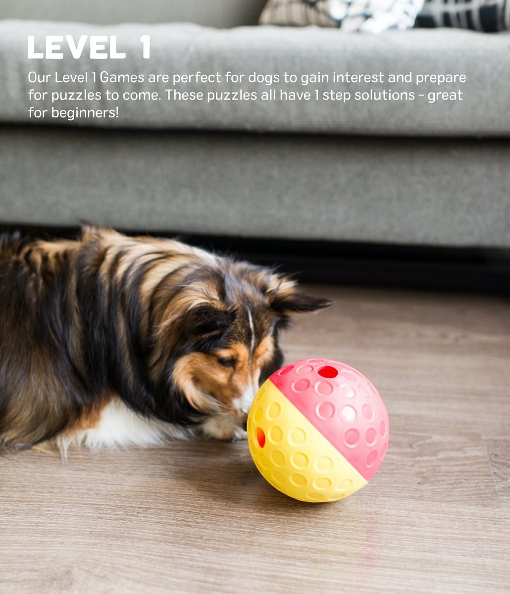 Nina Ottosson by Outward Hound Brick Puzzle Game Dog Toy