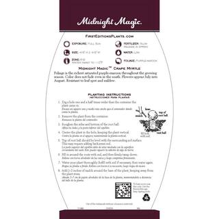 FIRST EDITIONS 7 gal. Midnight Magic Crapemyrtle Flowering Shrub with Dark Pink Flowers 15641