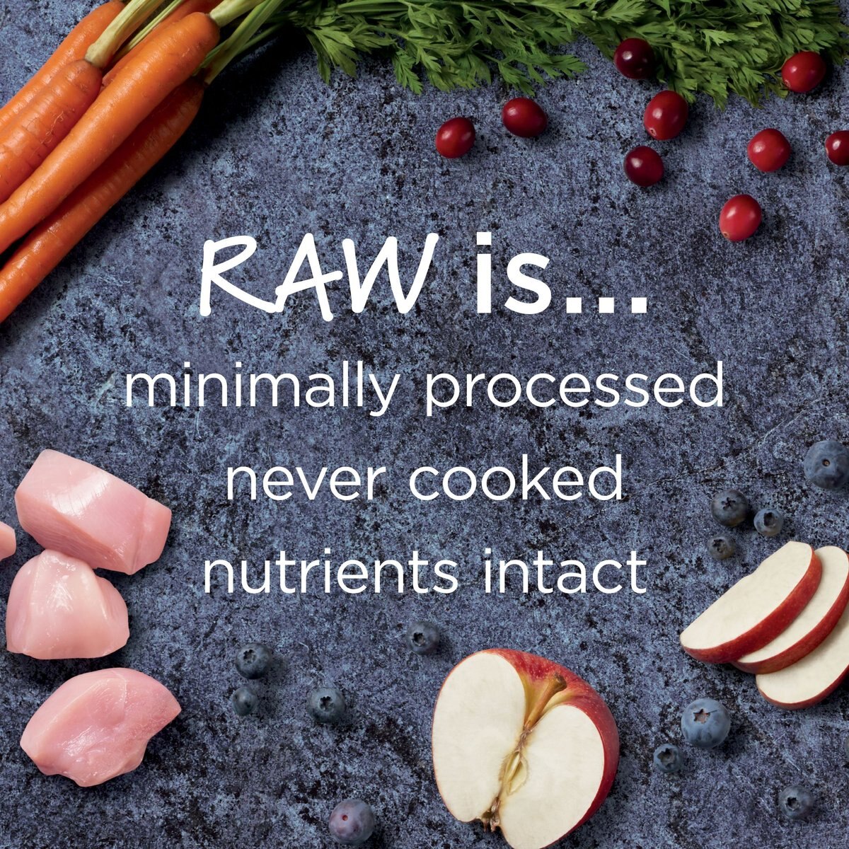 Instinct Raw Boost Puppy Grain-Free Recipe with Real Chicken and Freeze-Dried Raw Pieces Dry Dog Food