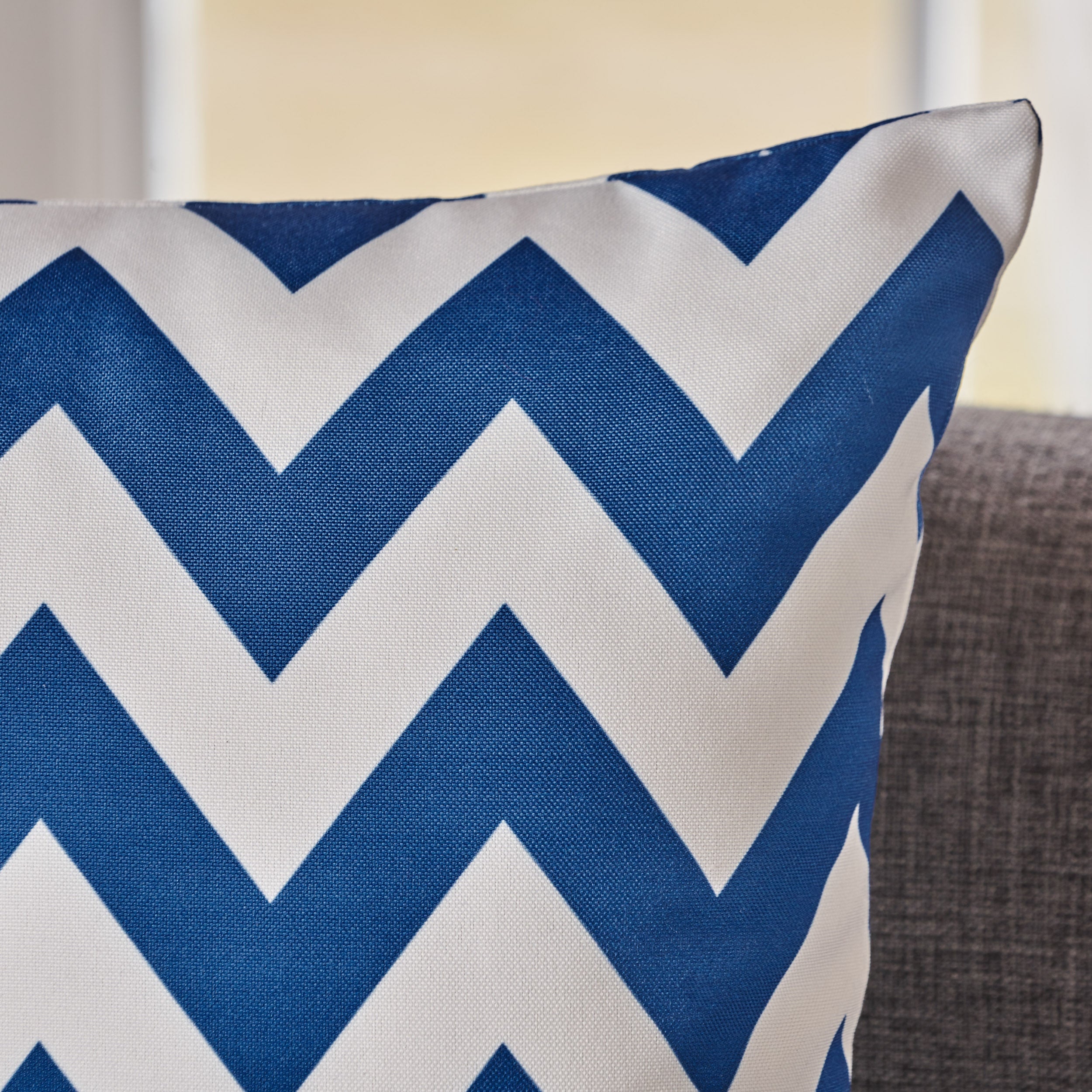 Ernest Indoor Zig Zag Striped Water Resistant Square Throw Pillows (Set of 2)