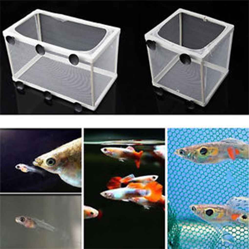 1PC Injured Fish Breeding Incubator Net Hanging Fish Hatchery Isolation Box For Aquarium Accessory Separate Isolation Supplies  M