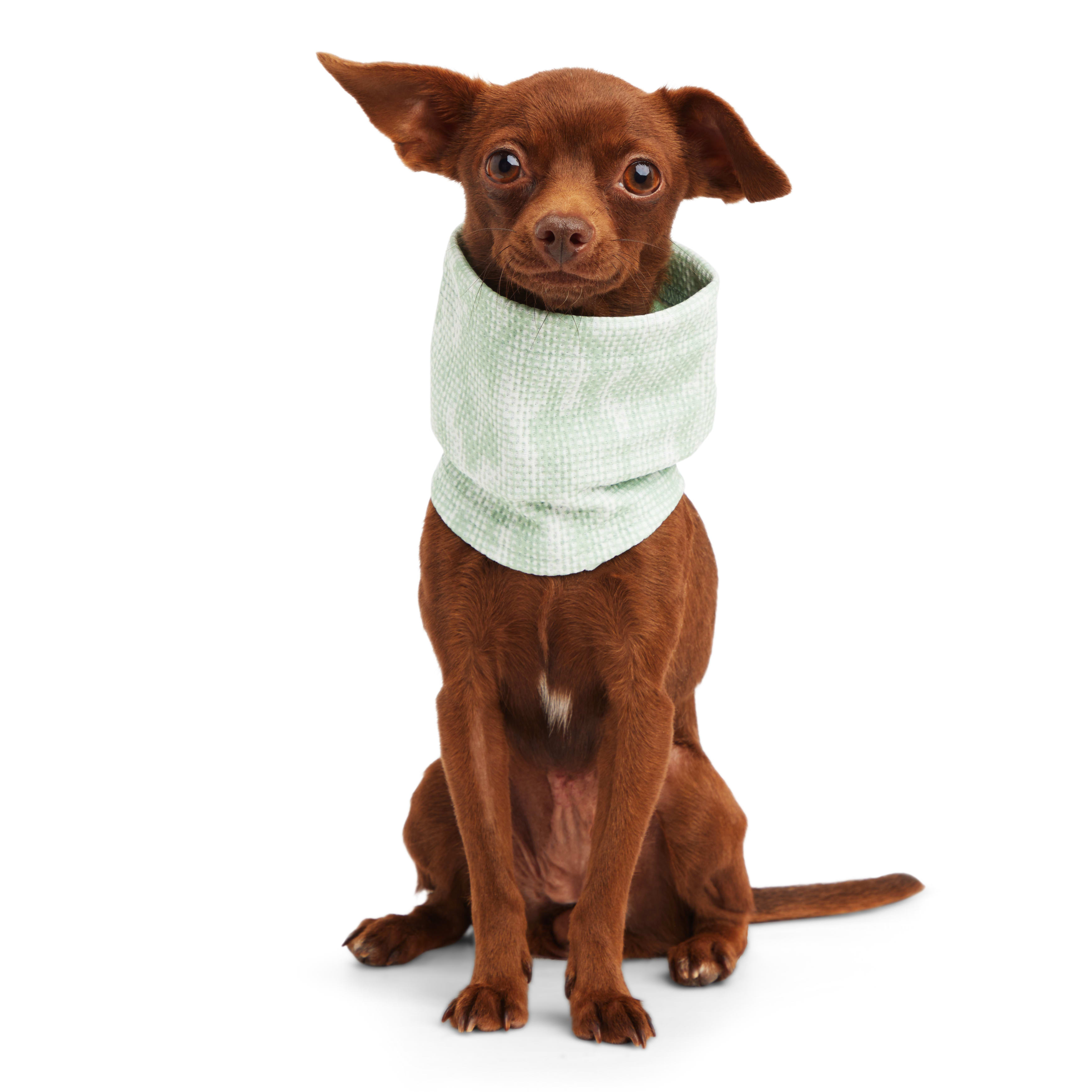 Reddy Green Neck Gaiter for Dogs， X-Small/Small