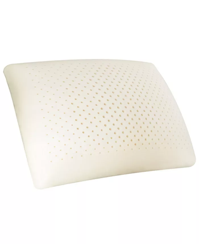 Carpenter Co. Comfort Tech Serene Foam Traditional Pillow， Standard