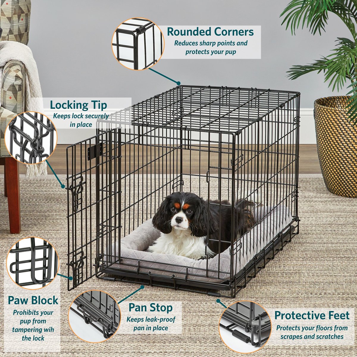 MidWest LifeStages Single Door Collapsible Wire Dog Crate