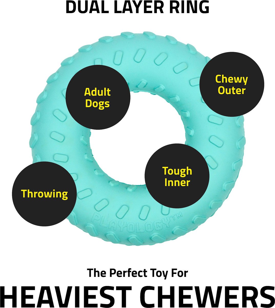 Playology Scented Dual Layer Ring Dog Toy