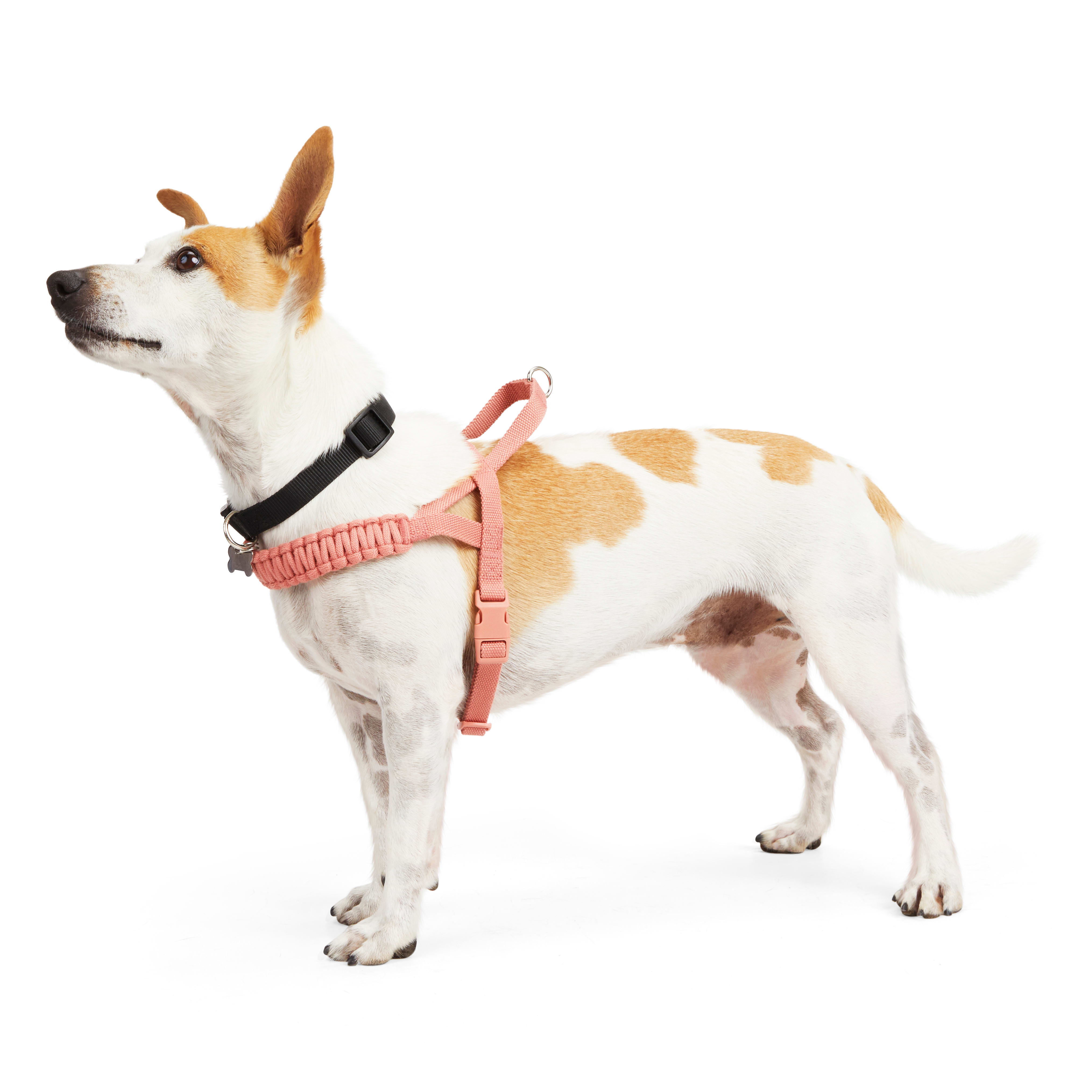 YOULY The Bohemian Rust Macrame Dog Harness， X-Small