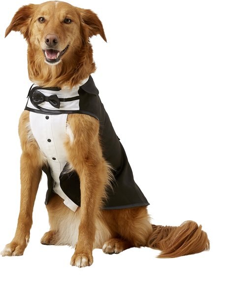 Frisco Formal Dog and Cat Tuxedo， Black