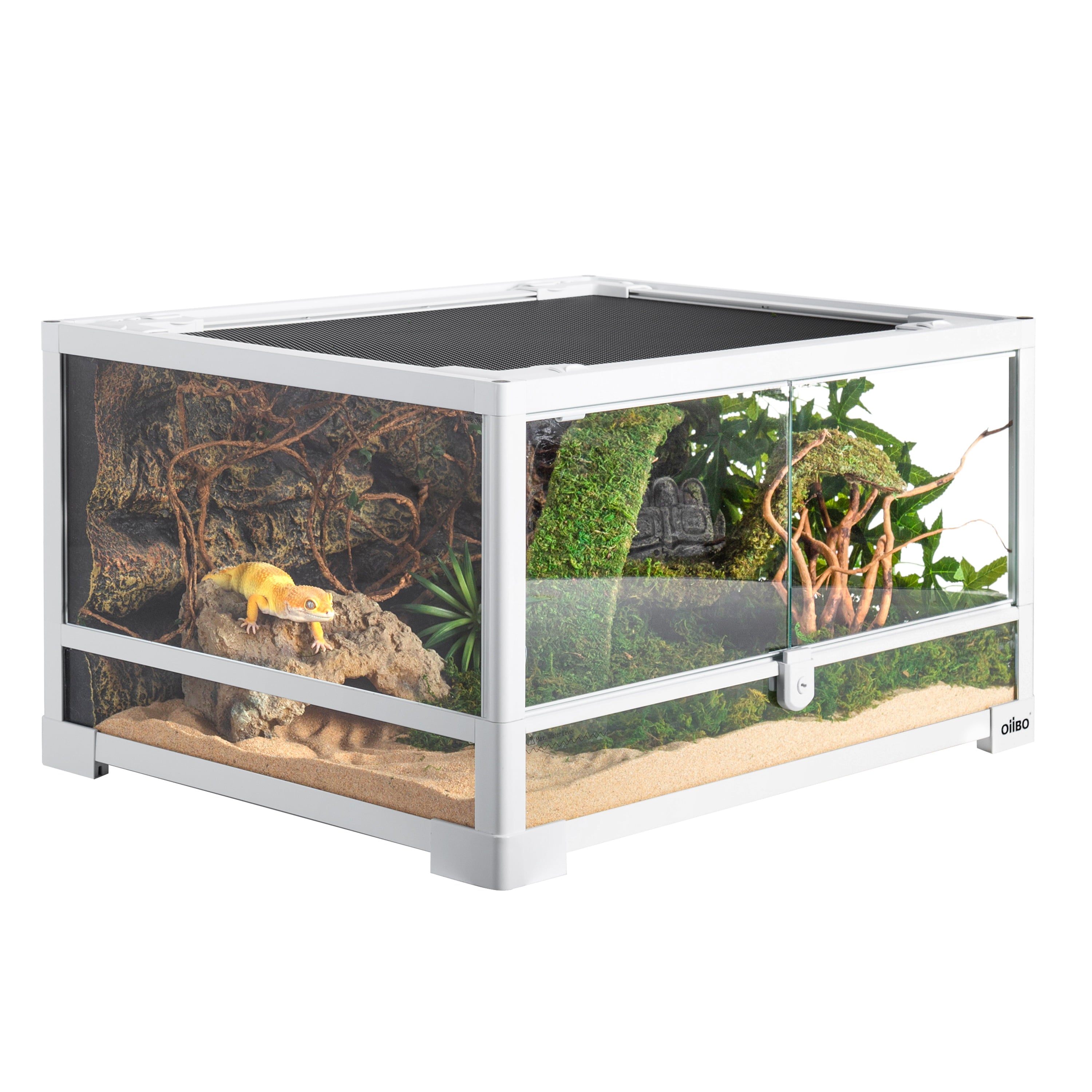 OiiBO Reptile Glass Terrarium， Swing Doors with Screen Ventilation Reptile Terrarium 24